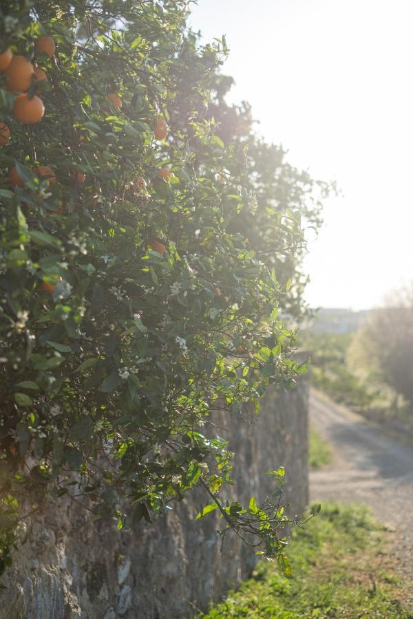 Casa Rural Emilio Con 4 * Málaga