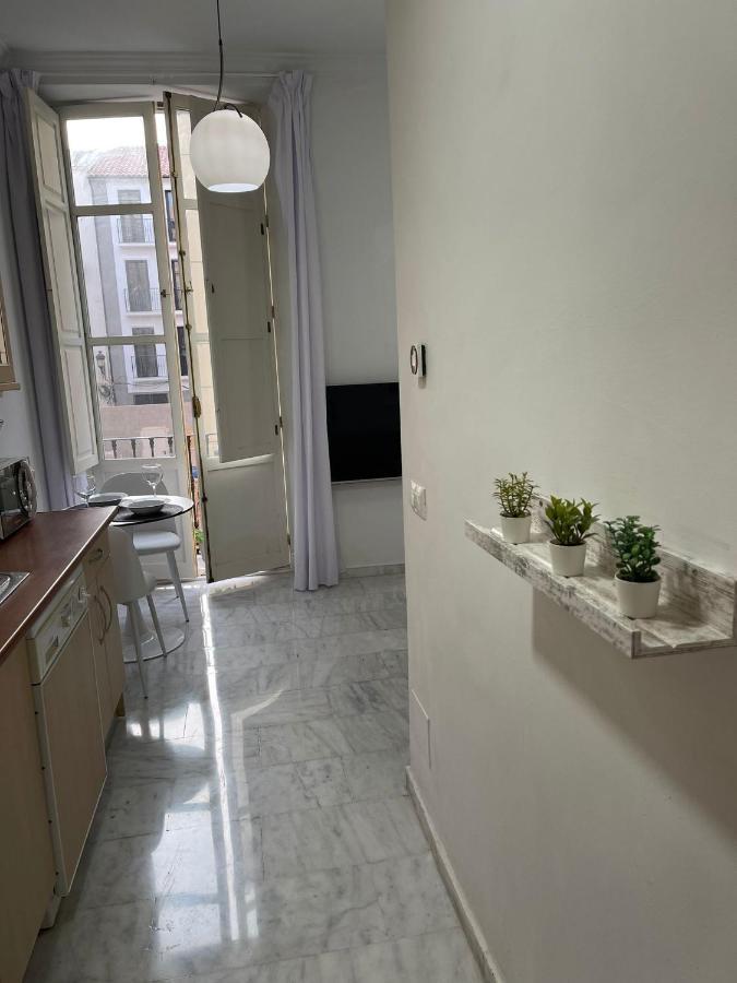 Ancha Del Carmen Apartment Malaga