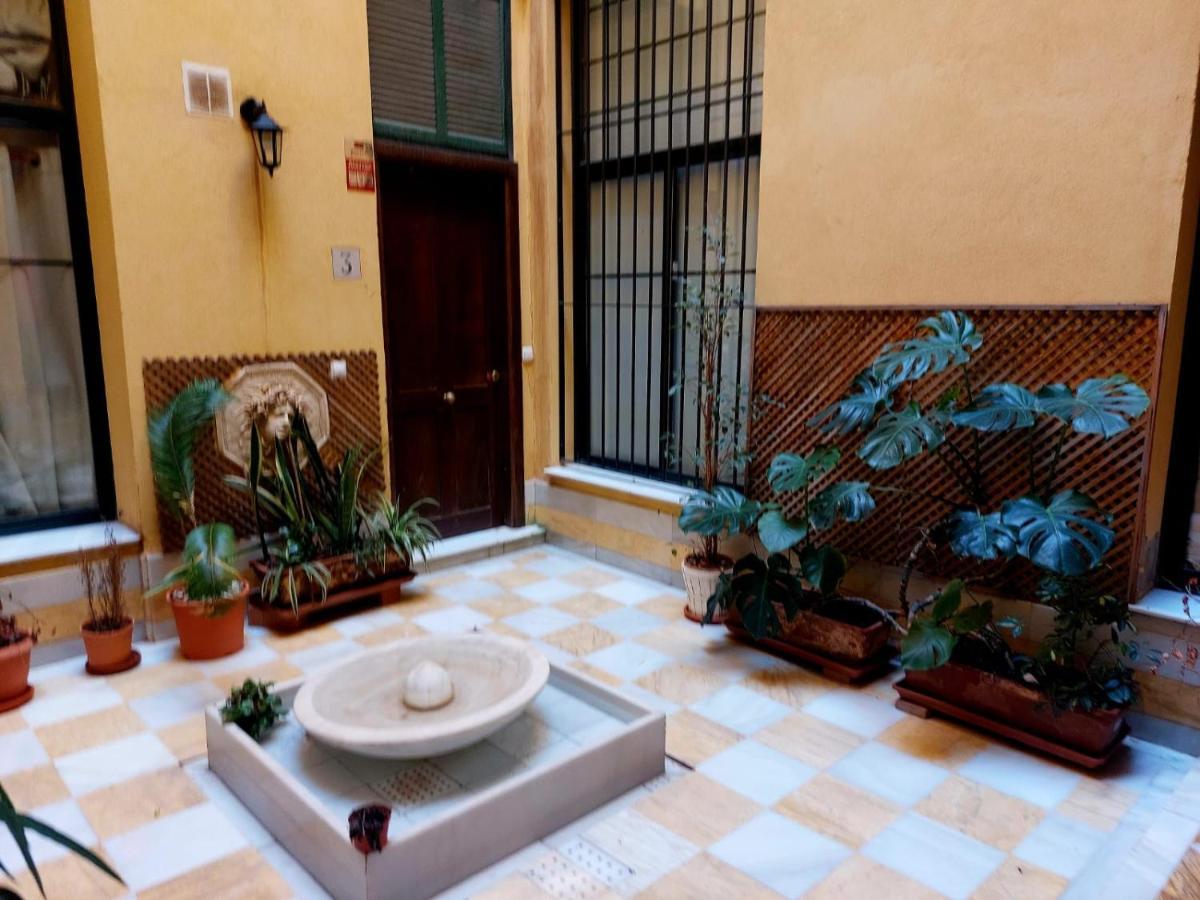 Dona Elvira Alvarez * Malaga