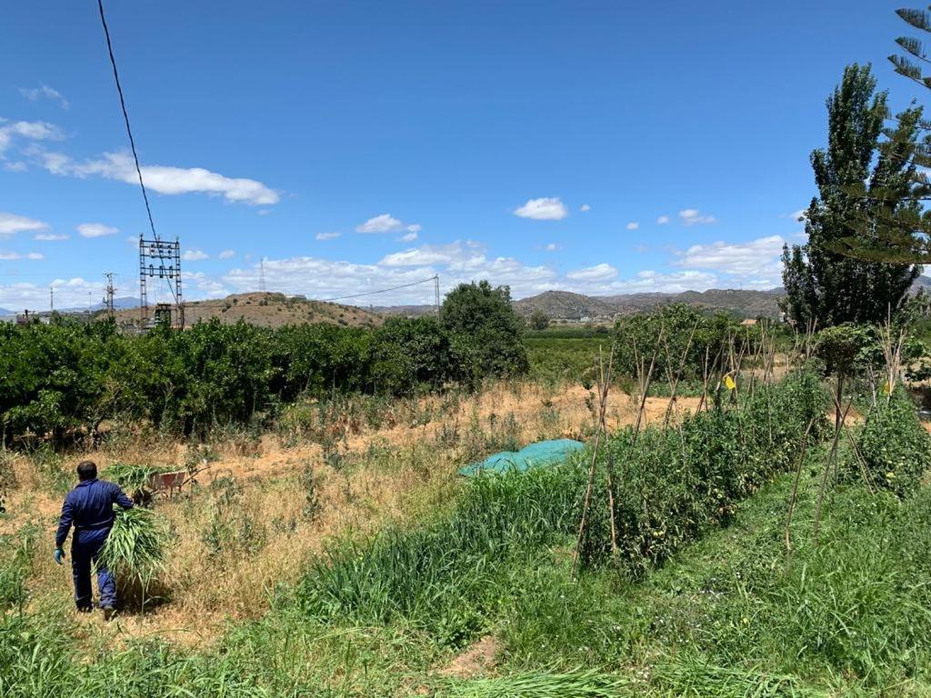 Holiday home Complejo Rural Lo Arrabal Malaga
