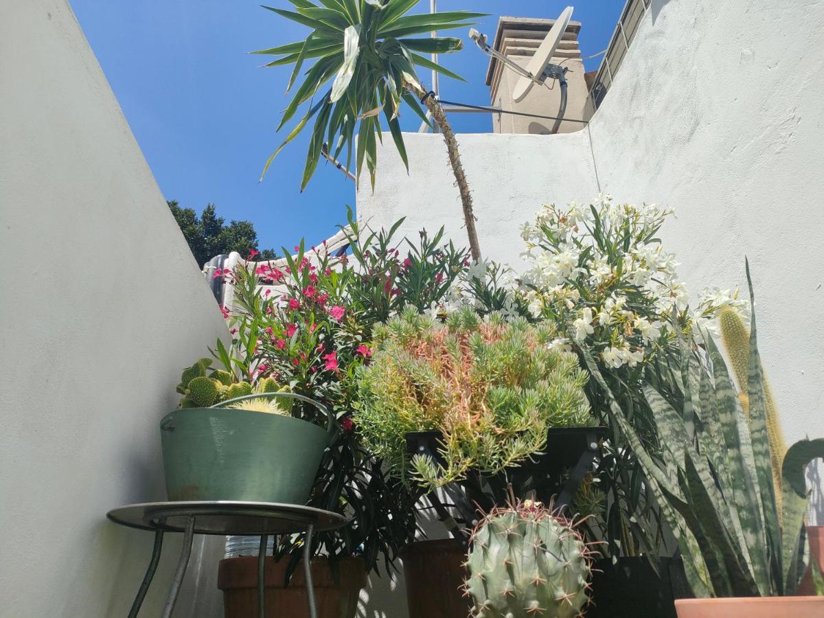 Terraza En Centro Historico * Málaga