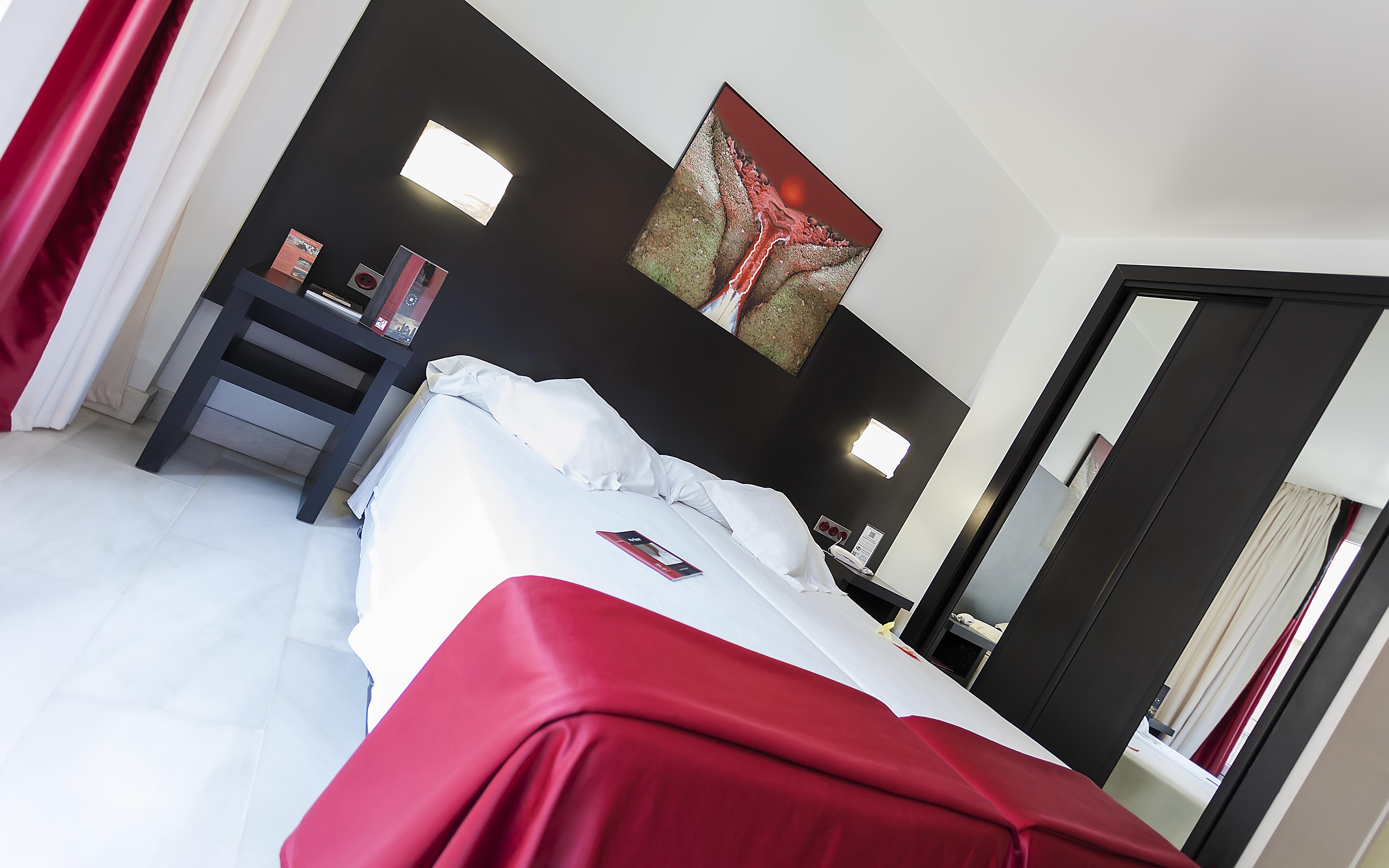 Hotel Del Pintor Malaga