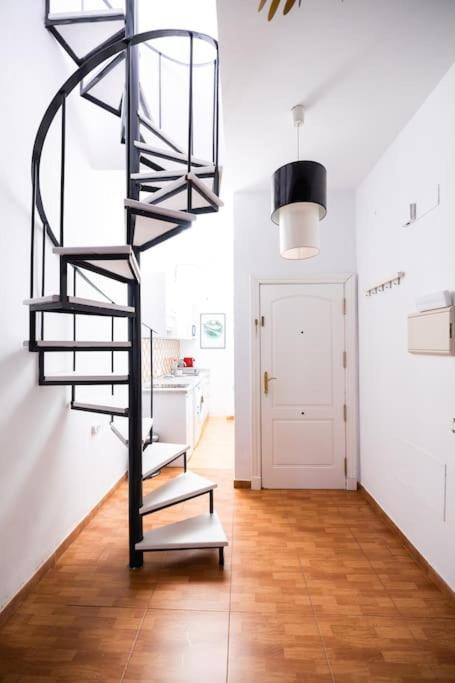 Appartement Shiny Alamos Super Family