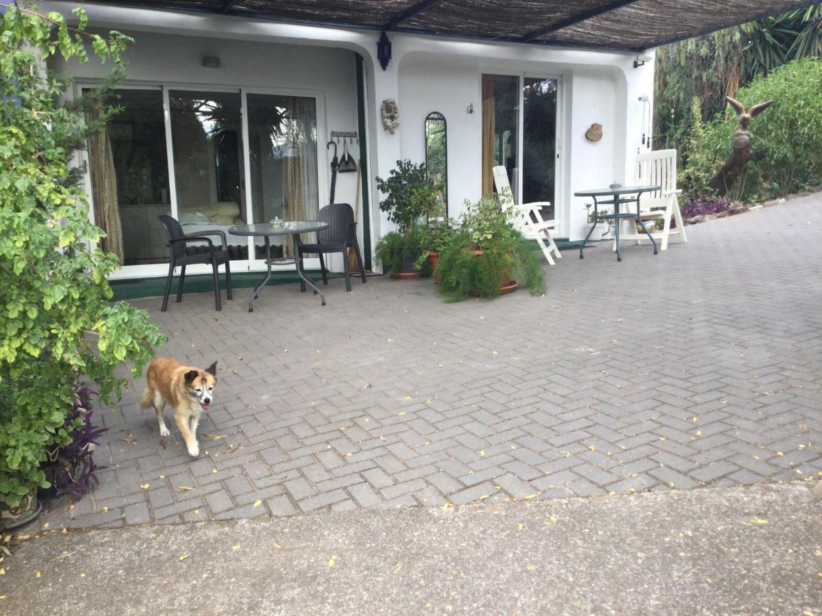 Appartement El Rio,, La Casita One Of 2 Self Catering Studios. Pool And Hydrotherapy Jacuzzi *