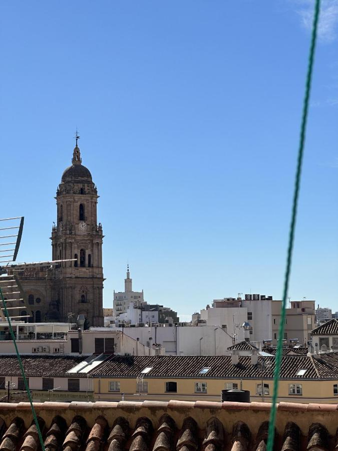 Alamos * Málaga