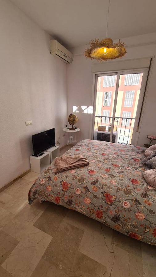 Penthouse With Solarium In The Center Of Malaga-atico Con Solarium En El Centro De Malaga