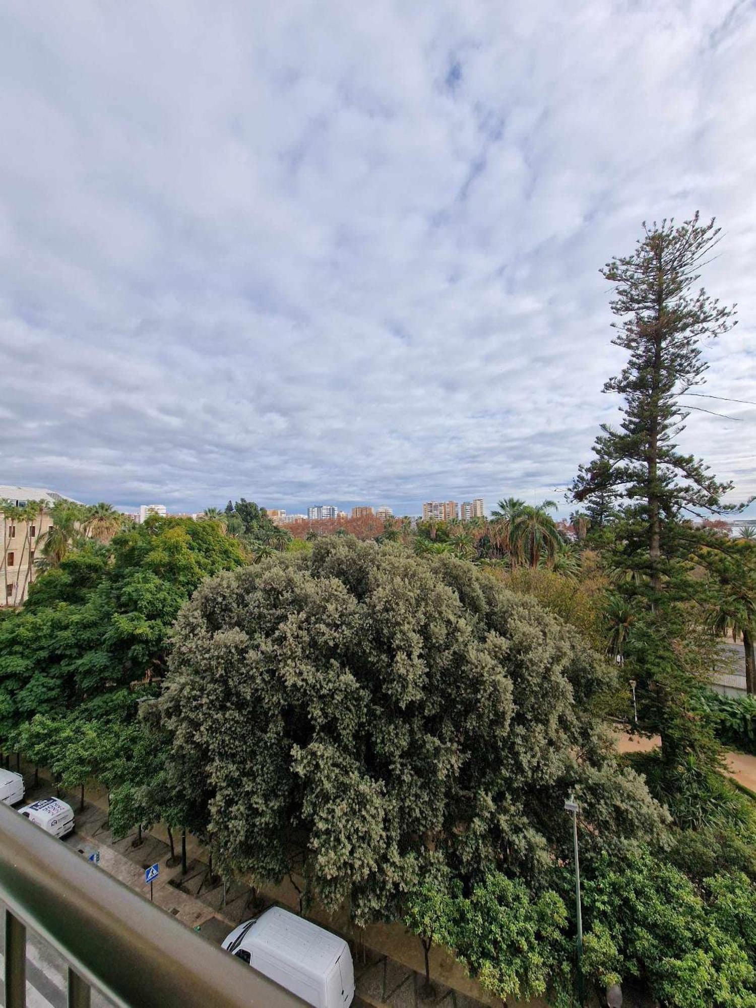 Appartement 2 2 Baths Y Parking Cathedral *