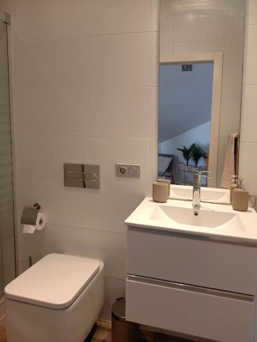 Salitre Center Appartement
