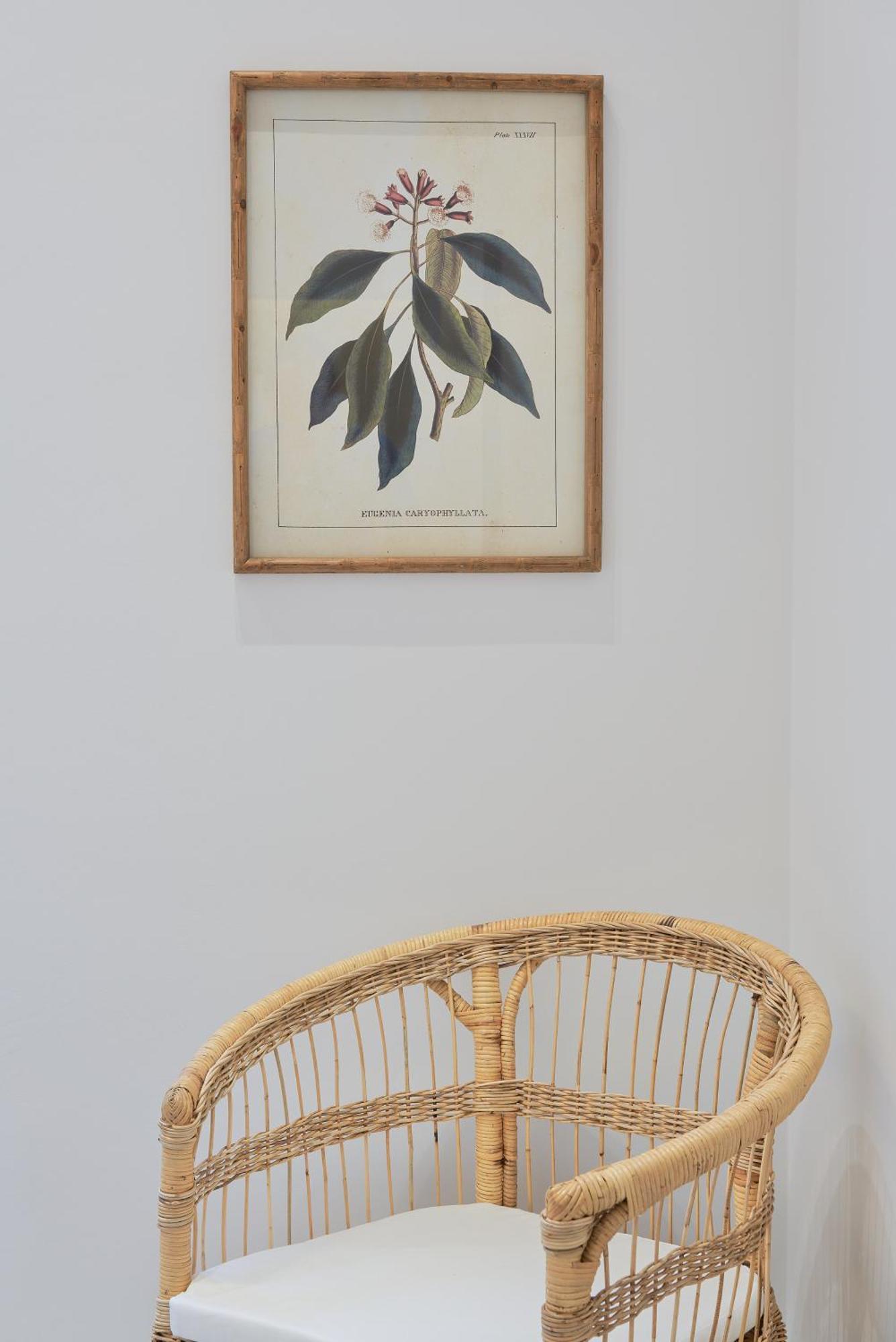 Iloftmalaga Domingo Lozano Apartment *