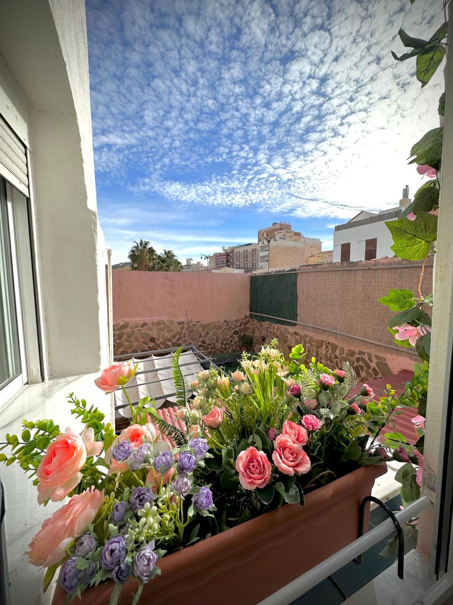 Jara Centro