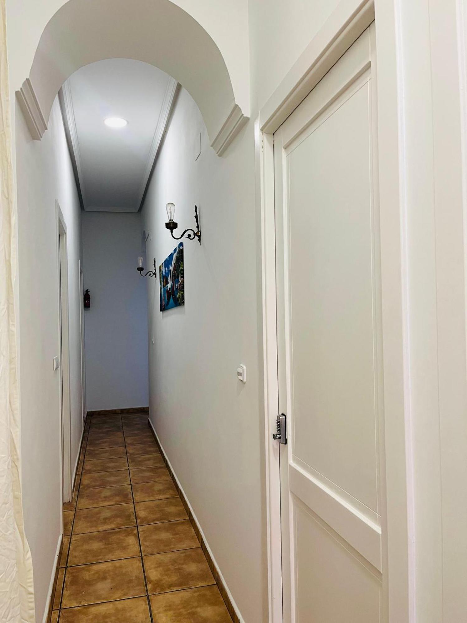 Apartment Malak-rooms