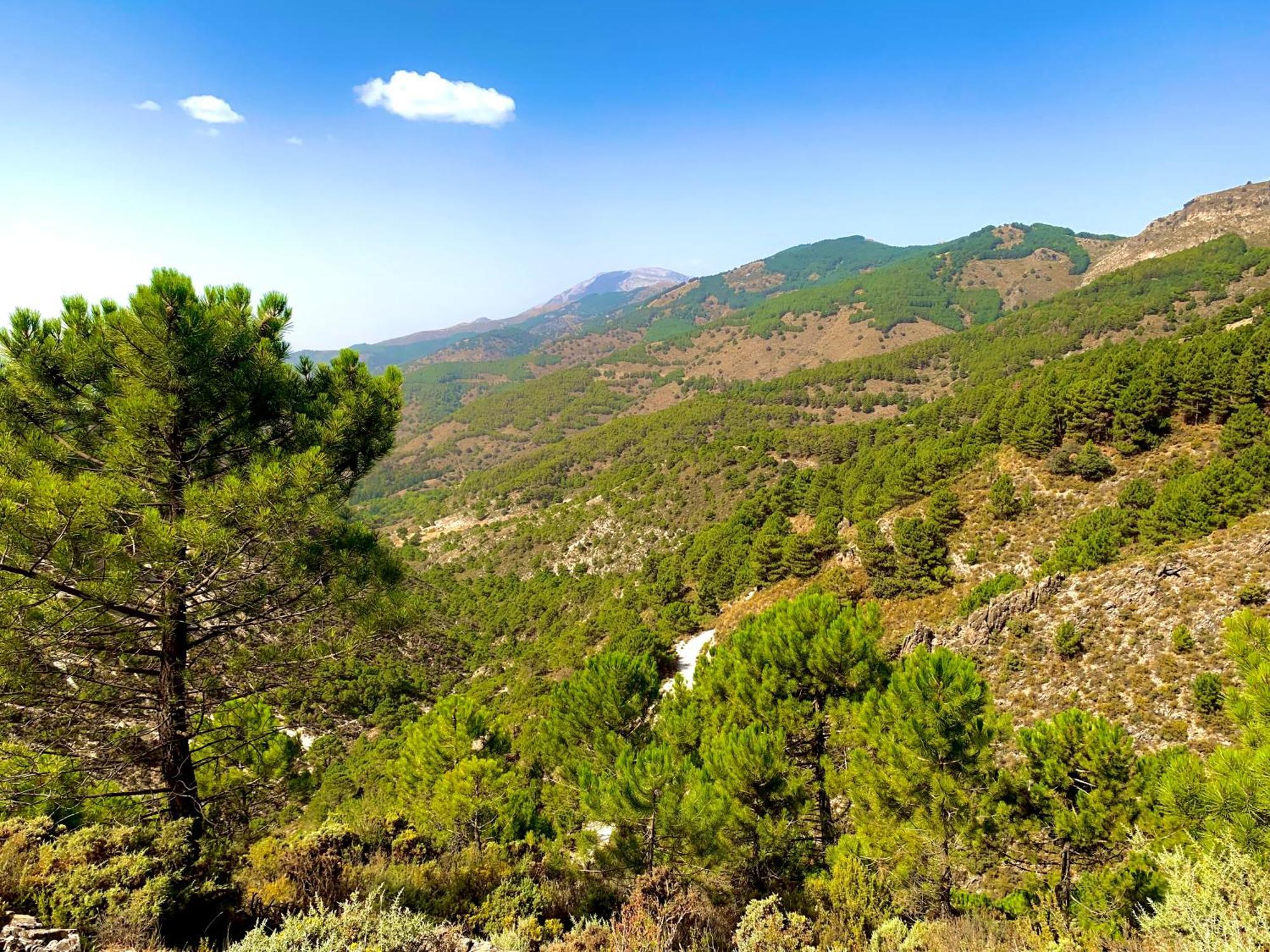 Holiday home El Almendro Malaga