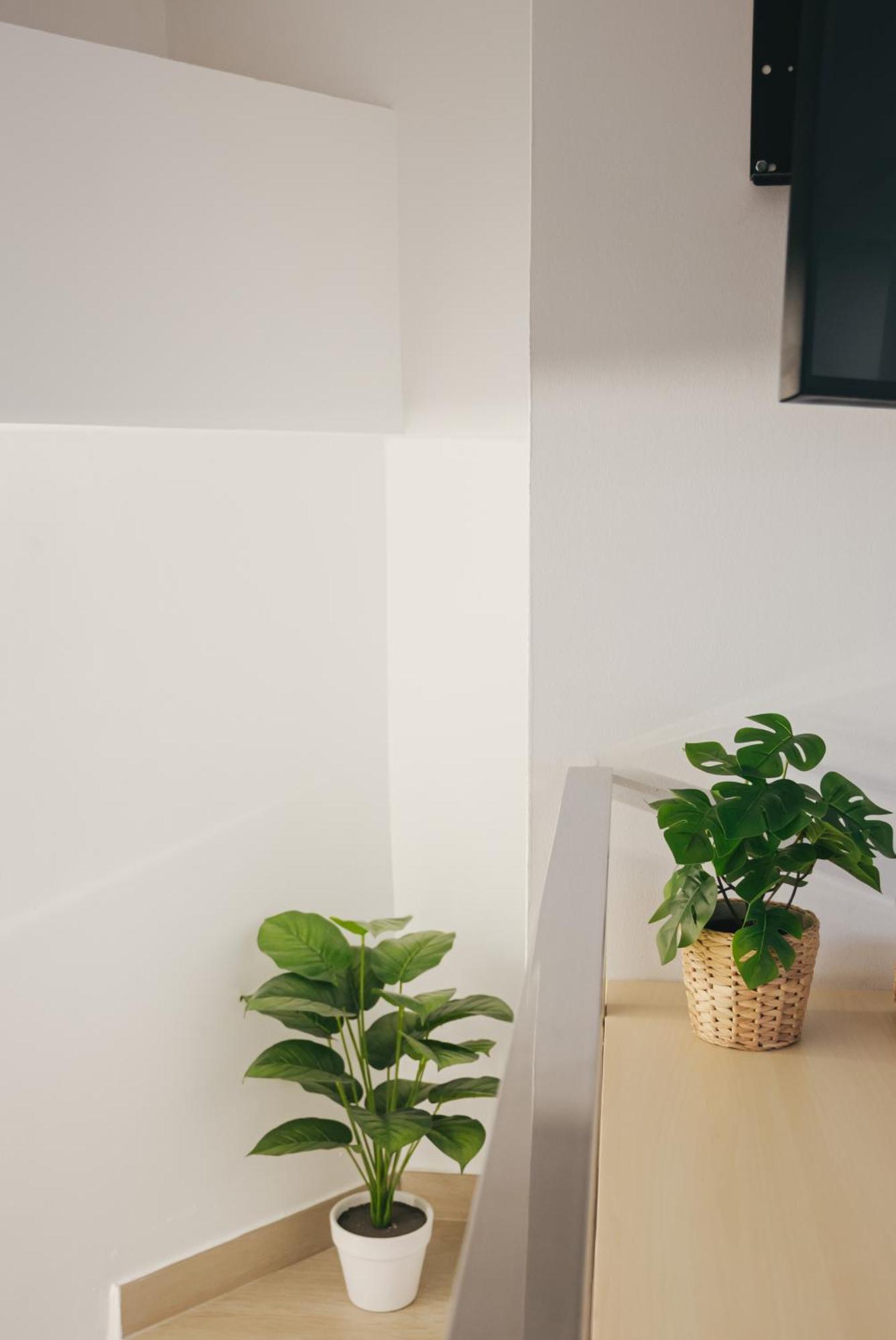 Apartment Larios Premium