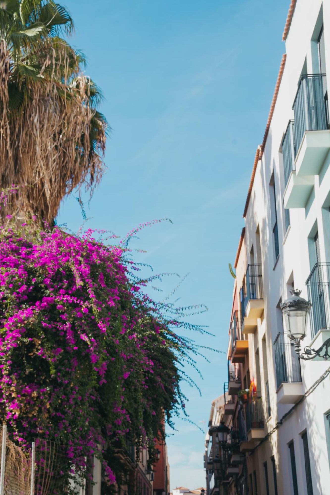 Picasso Premium Apartment Malaga