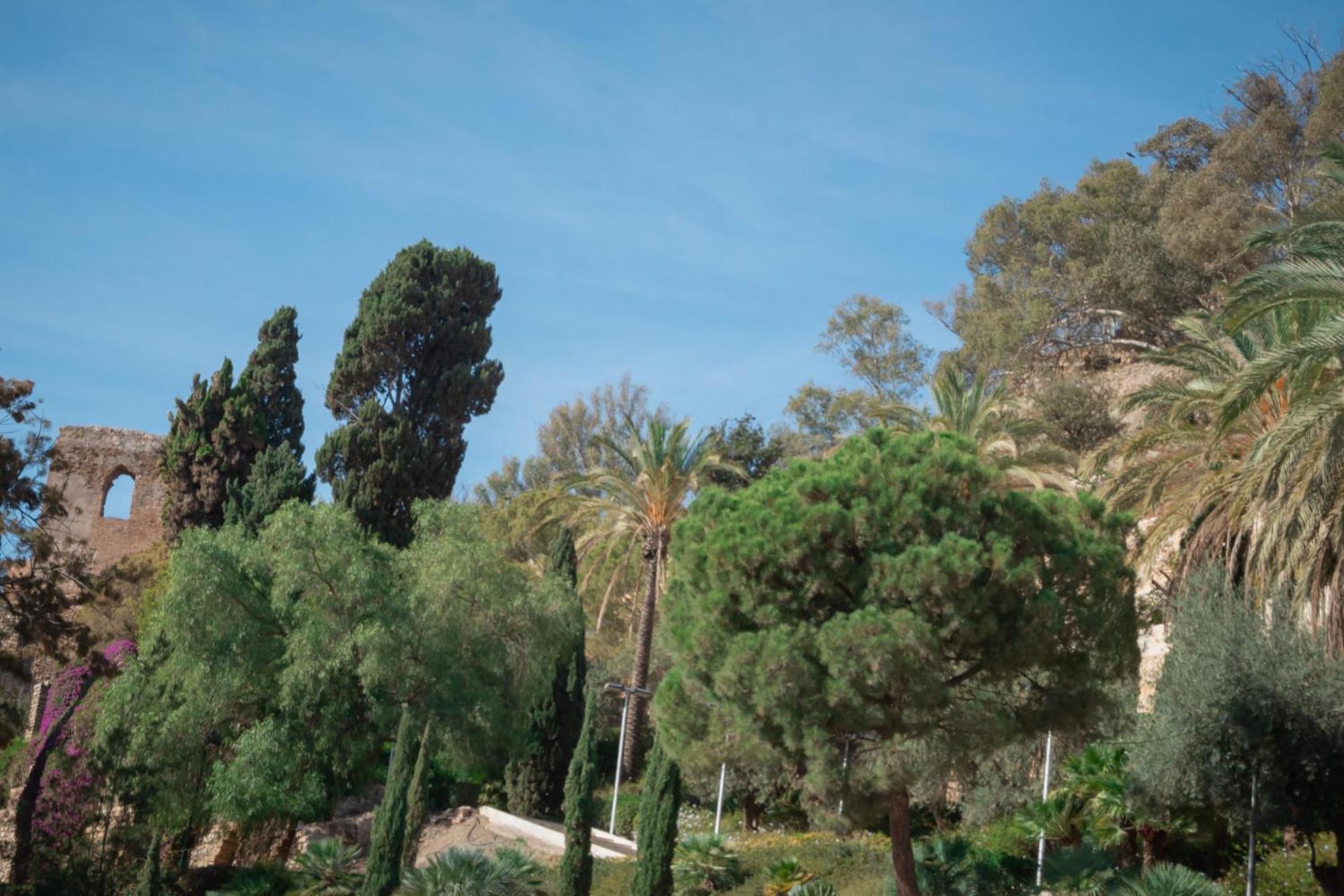 Apartment Picasso Premium Malaga