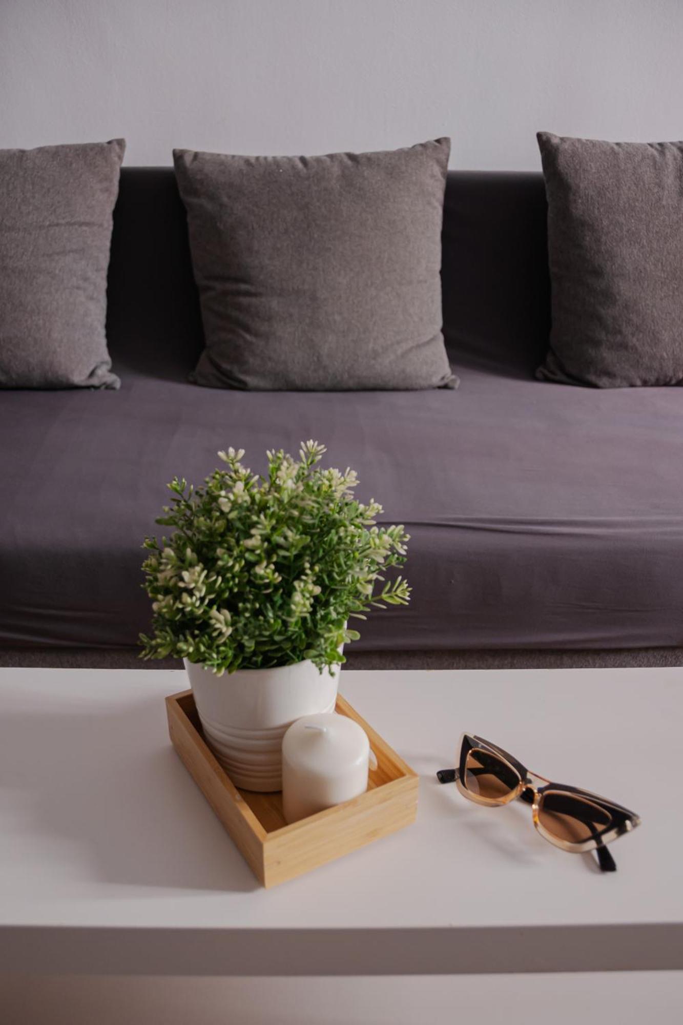 Apartment Picasso Premium