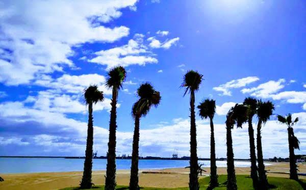 Apartamento ático Con Piscina Y Vistas Al Mar Parque Litoral