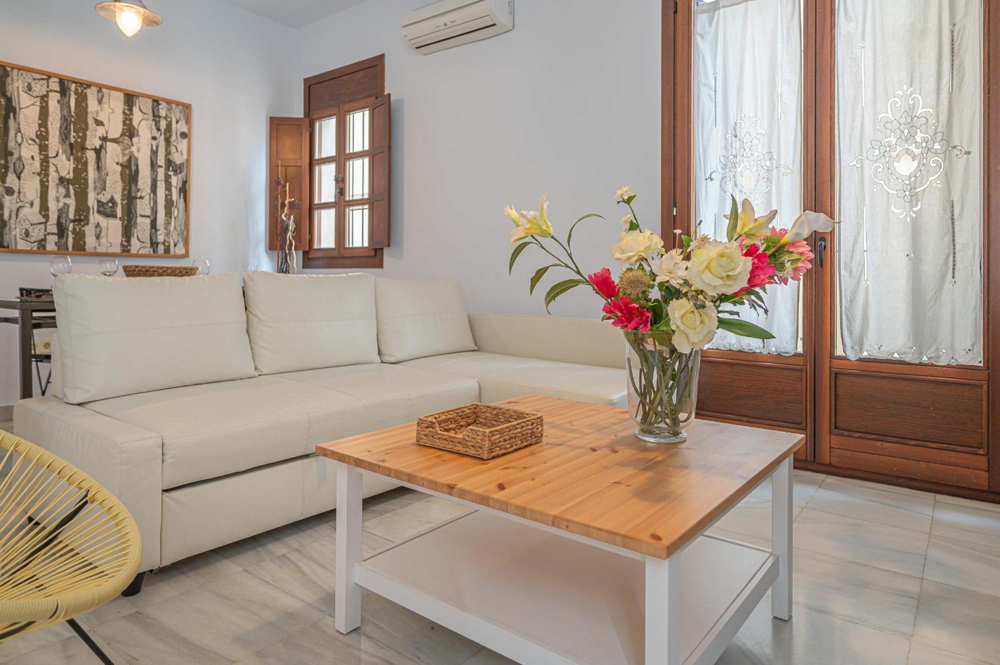 Dona Elvira Carreteria Apartment Malaga