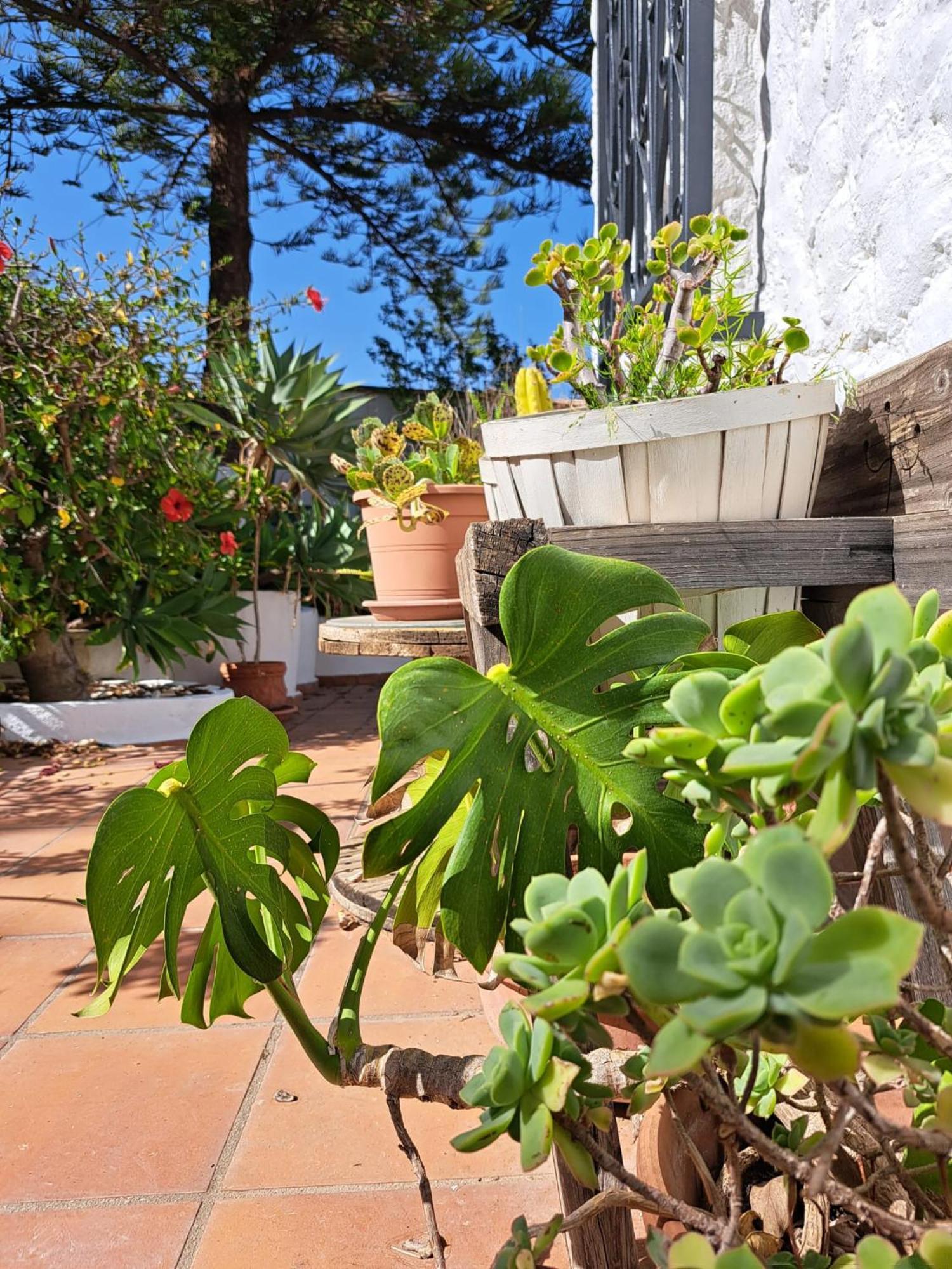 Mijas Costa Del Sol Ferienhaus