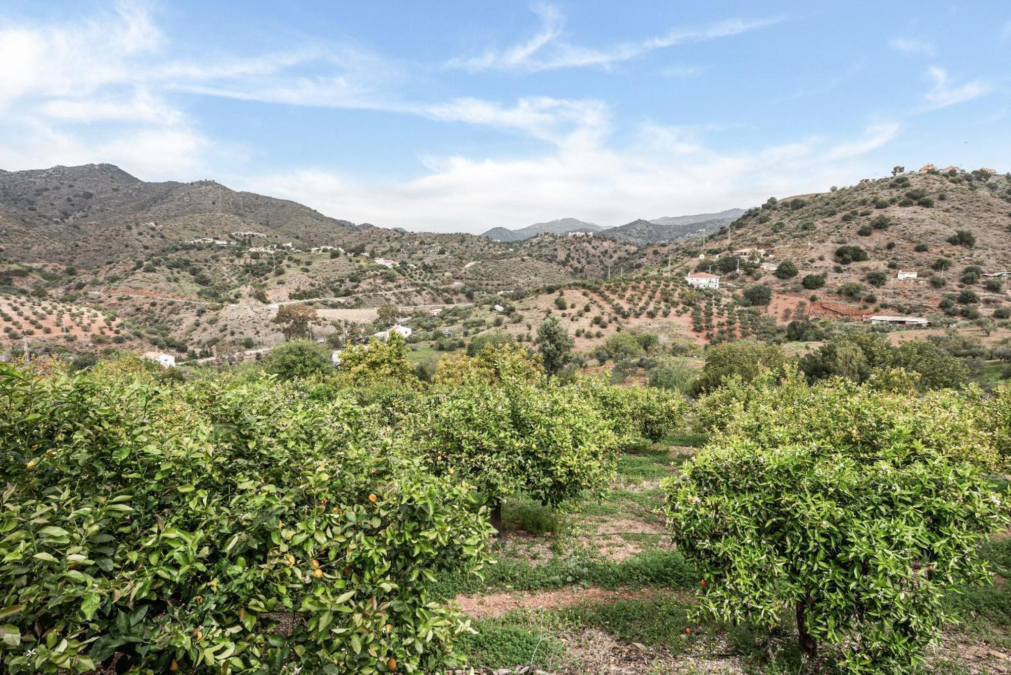 Llano De Fe