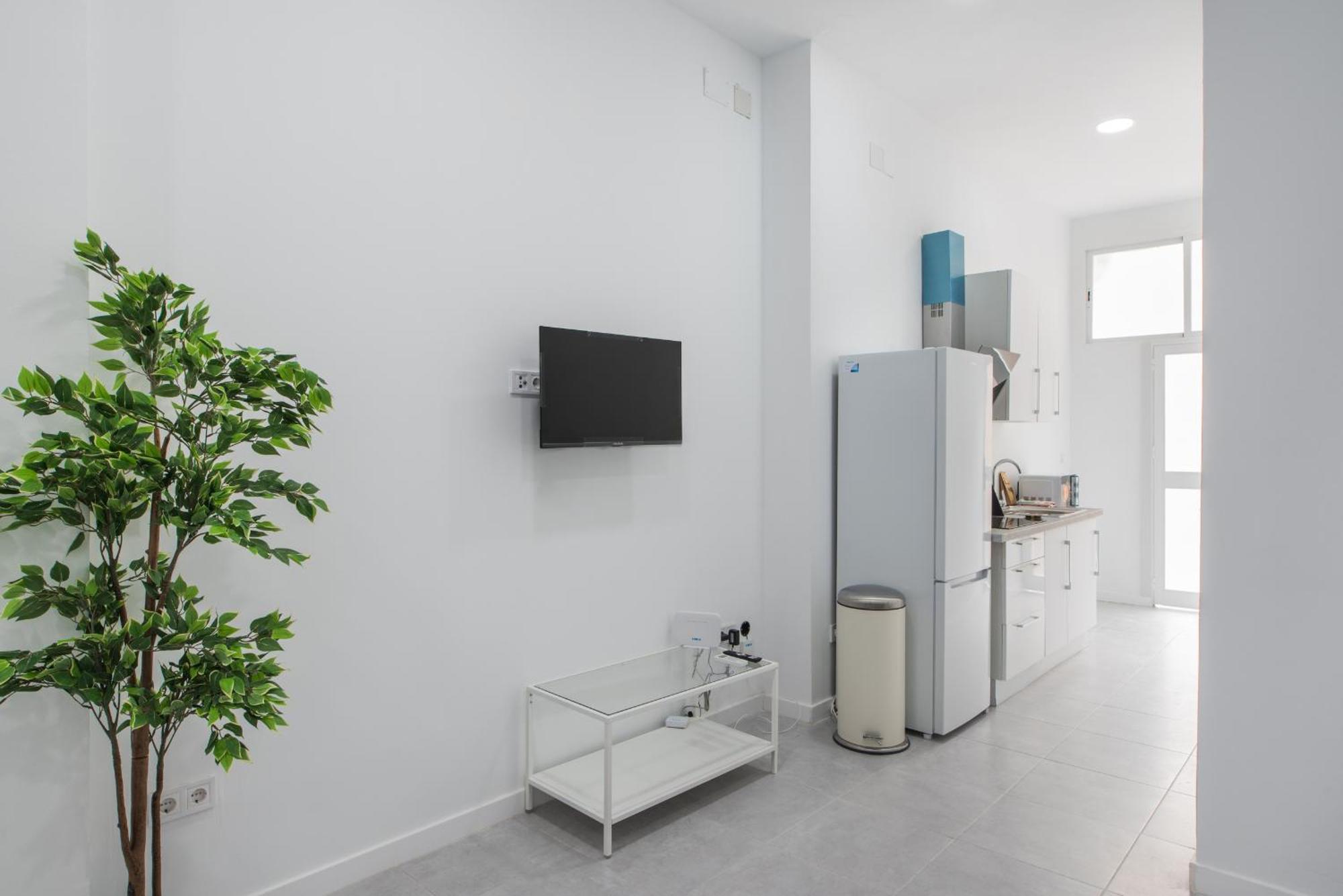Comfortable 1 Bath 1bedroom Apartment Malaga