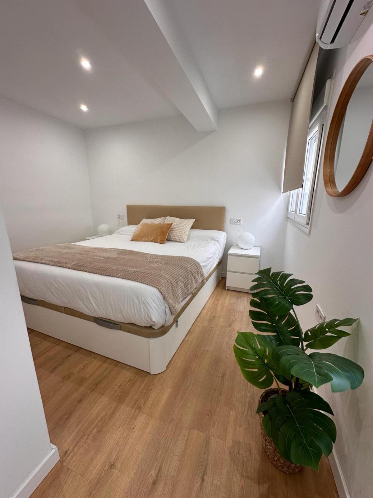 San Jorge Premium - *