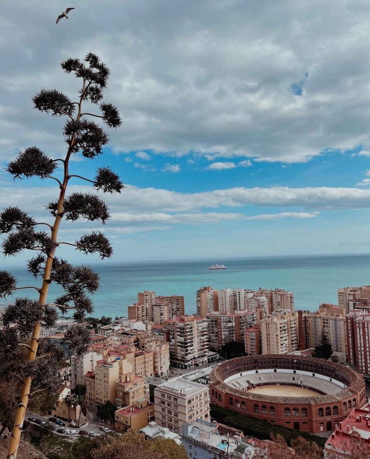 Welcome Málaga