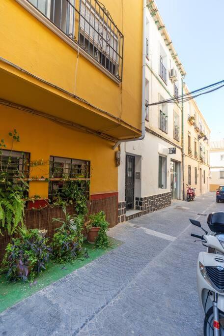 Apartment 3 Bedroom Flat In Historic Centre
