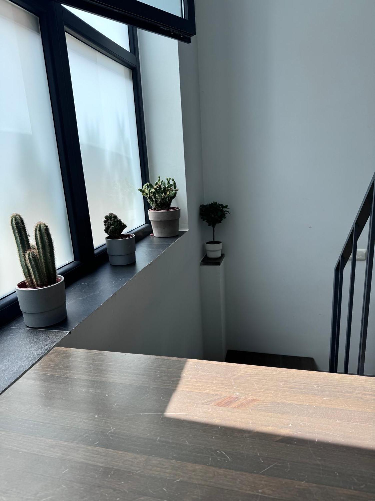 Sumaloft Prensa Apartment Malaga