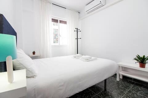 Living Malagueta With Parking Free Apartment