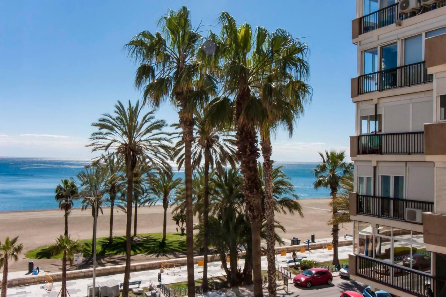 Living Malagueta With Parking Free Apartment