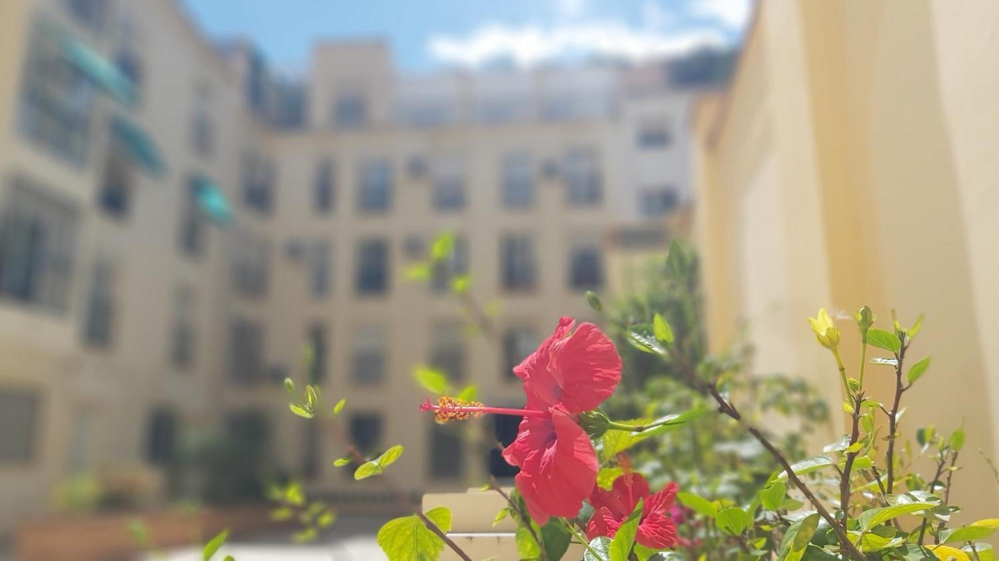 Del Parque Flats Victoria Family Appartement *