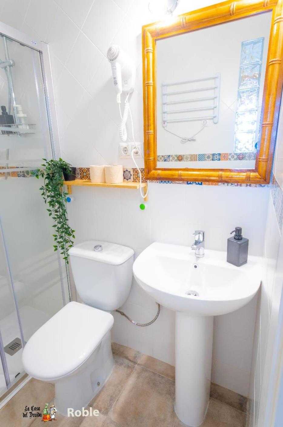 La Casa Del Druida Ii Apartment Malaga