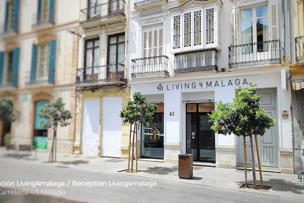 Living4malaga Amazonia Center