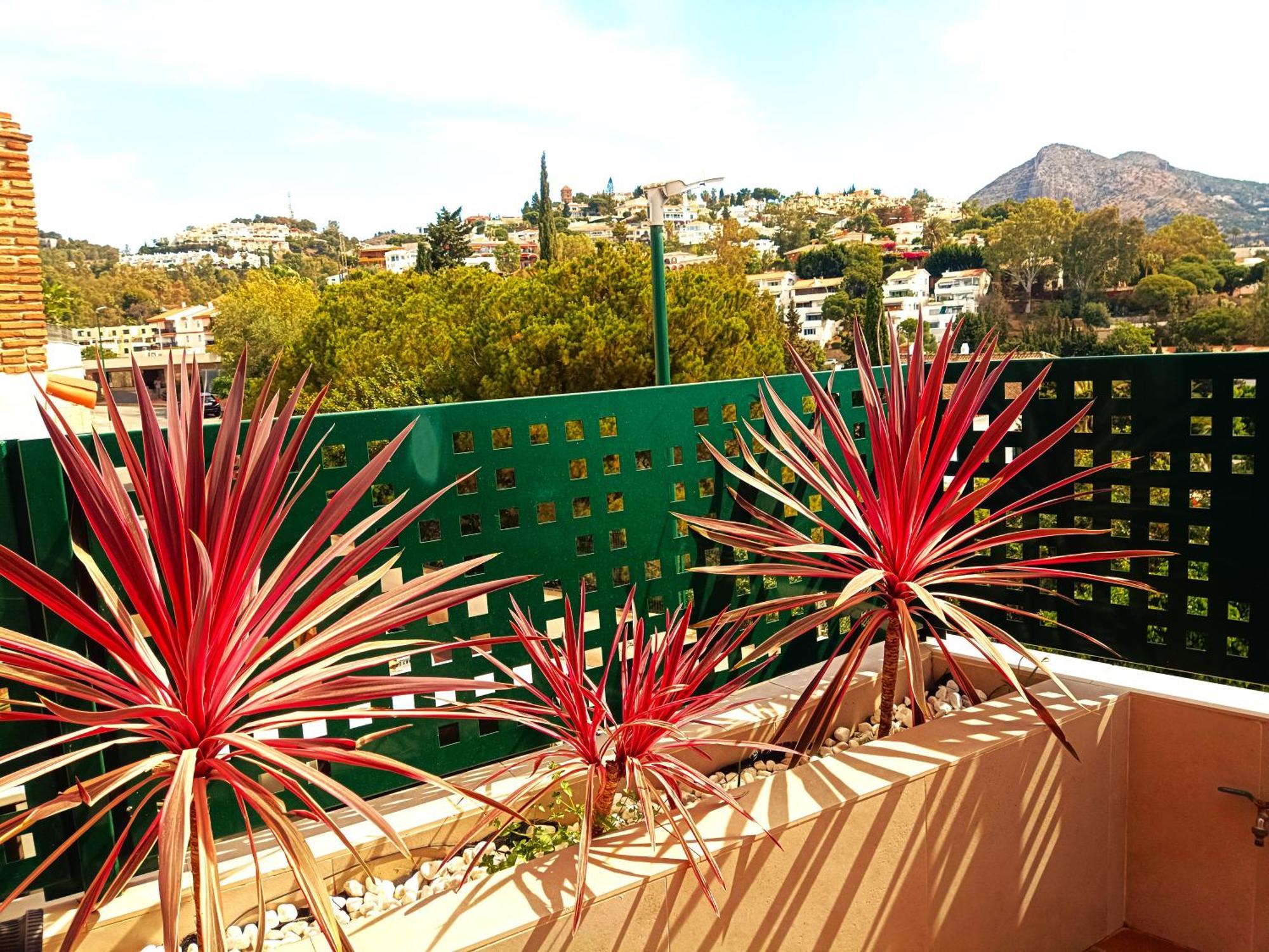 Flamencos Del Cerrado Apartment Malaga