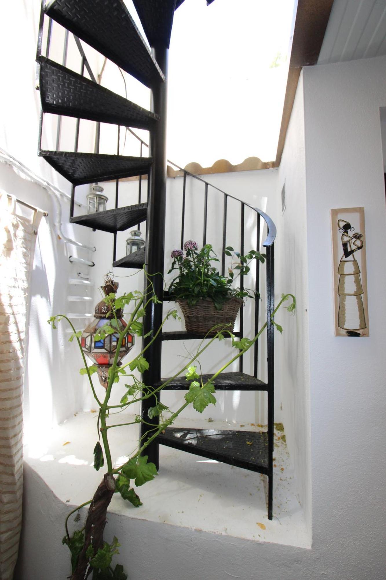 Acacias Guest house Malaga