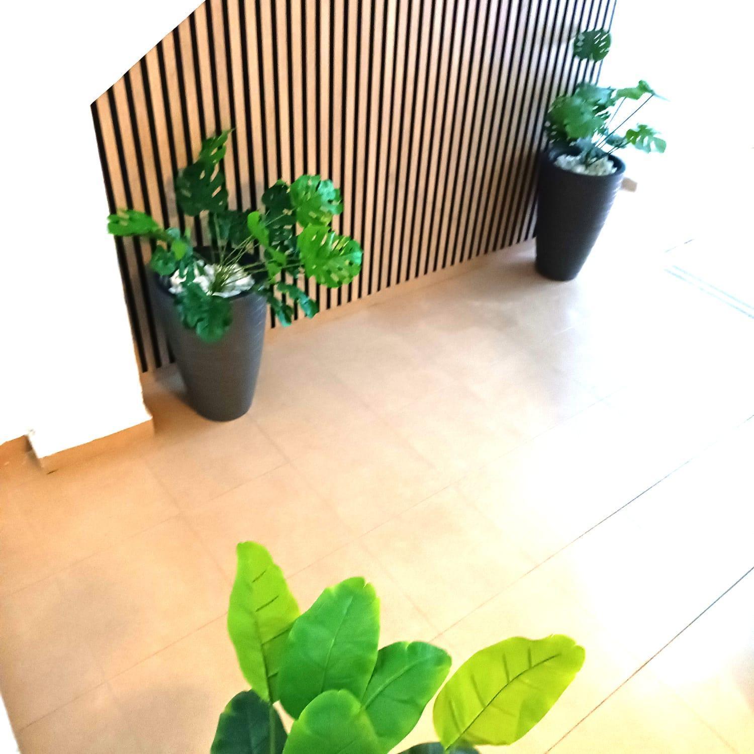 Terrazas De San Juan Apartment *
