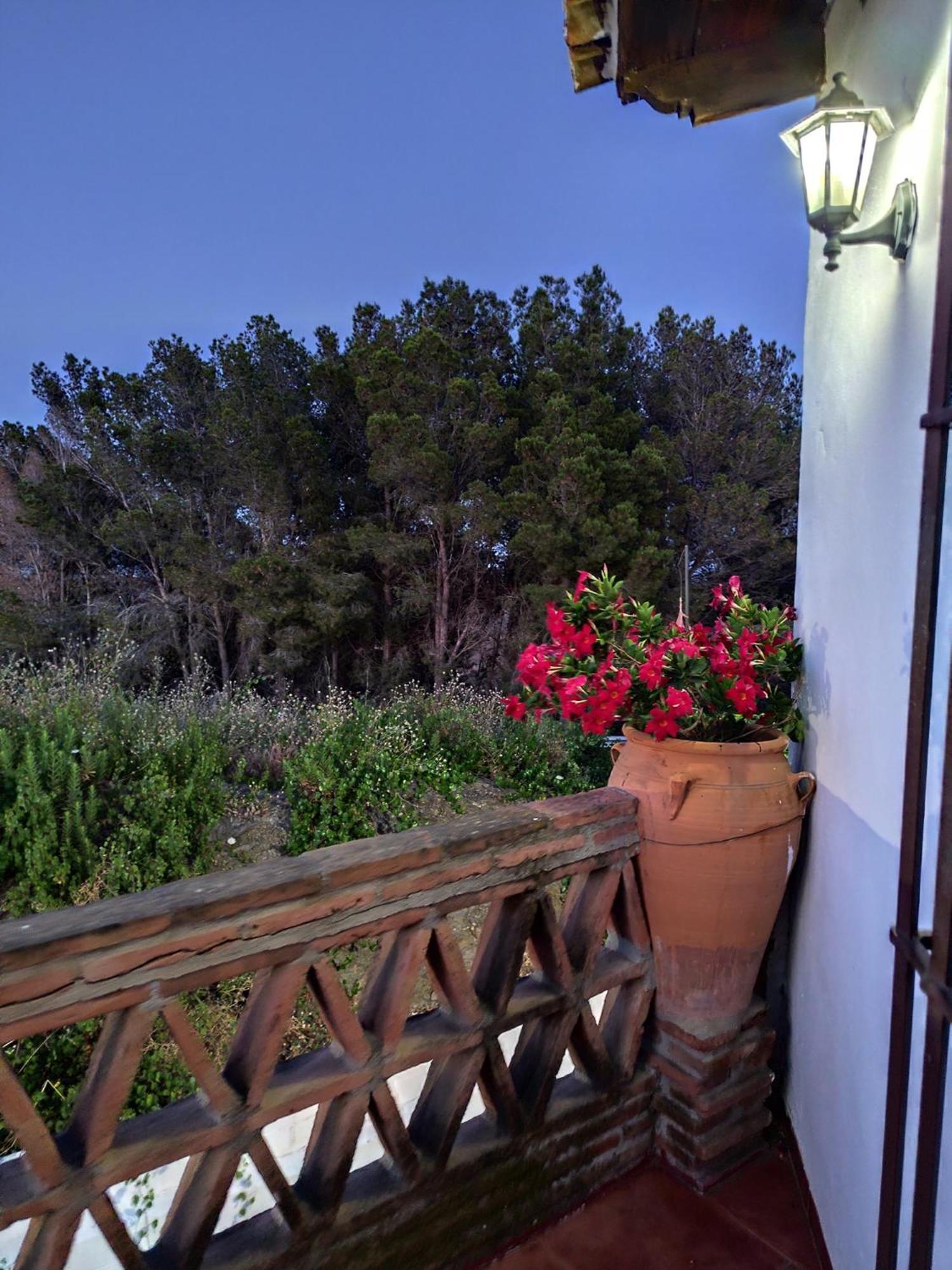 Casa Villazo 2 Malaga