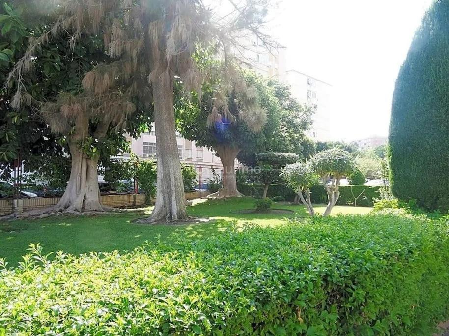 Apartment Gran San Carlos *