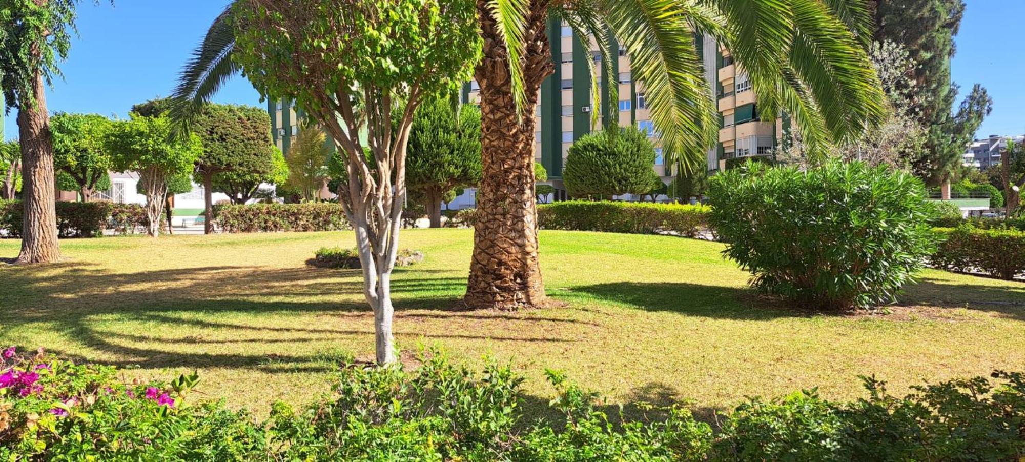 Jenofonte Zj Apartamento