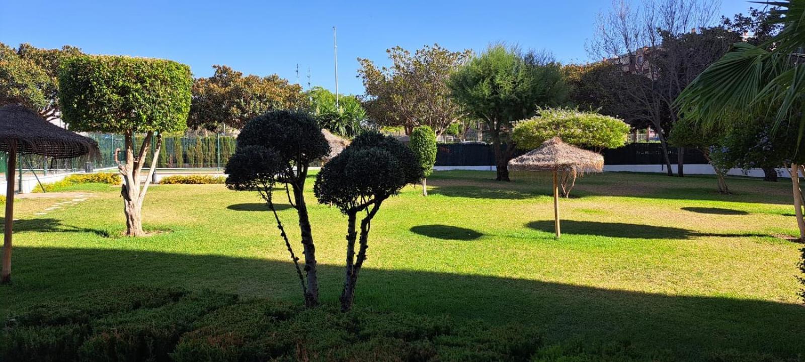 Jenofonte Zj * Málaga