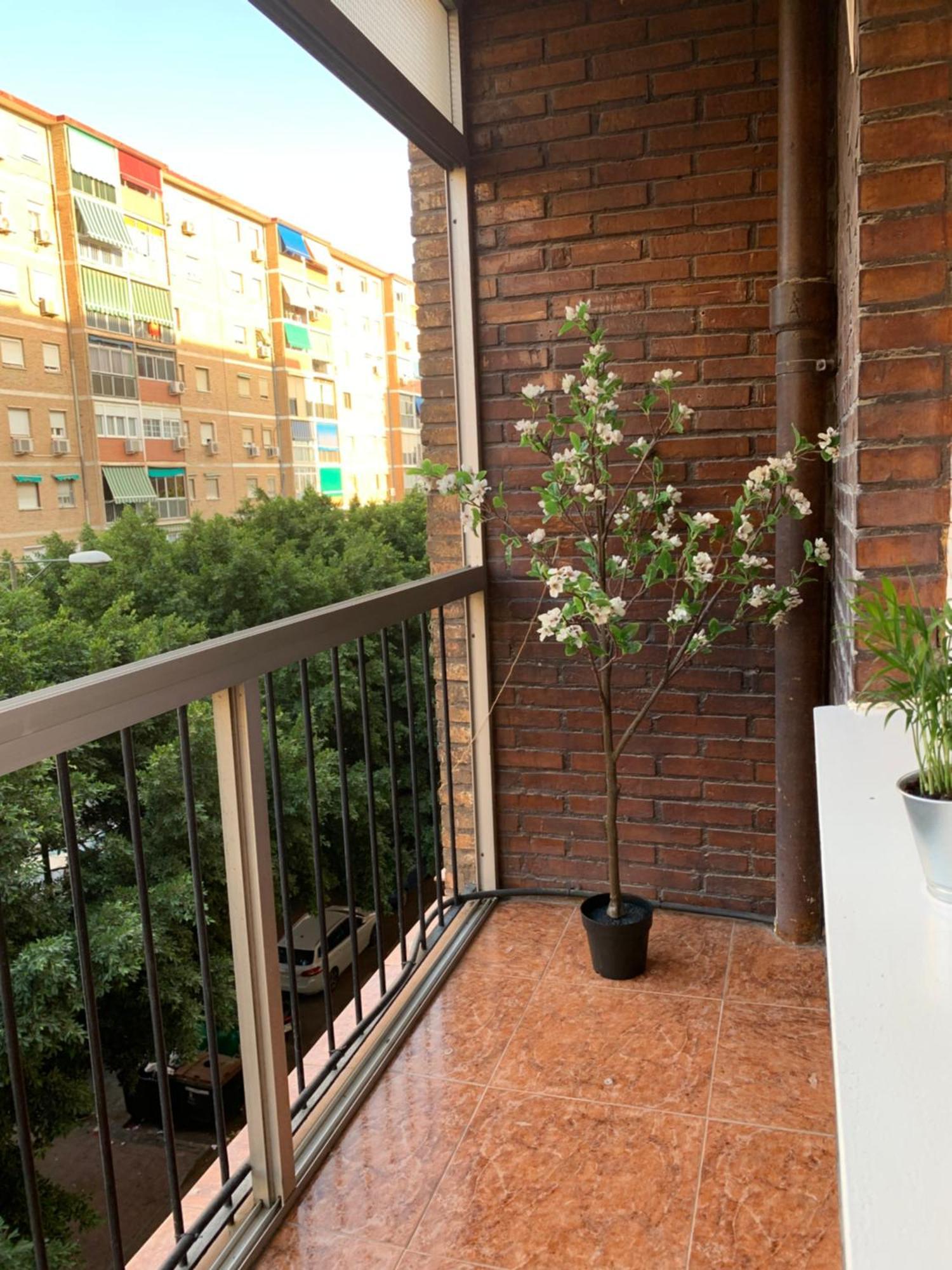Bueno, Bonito Y Barato Appartement Málaga