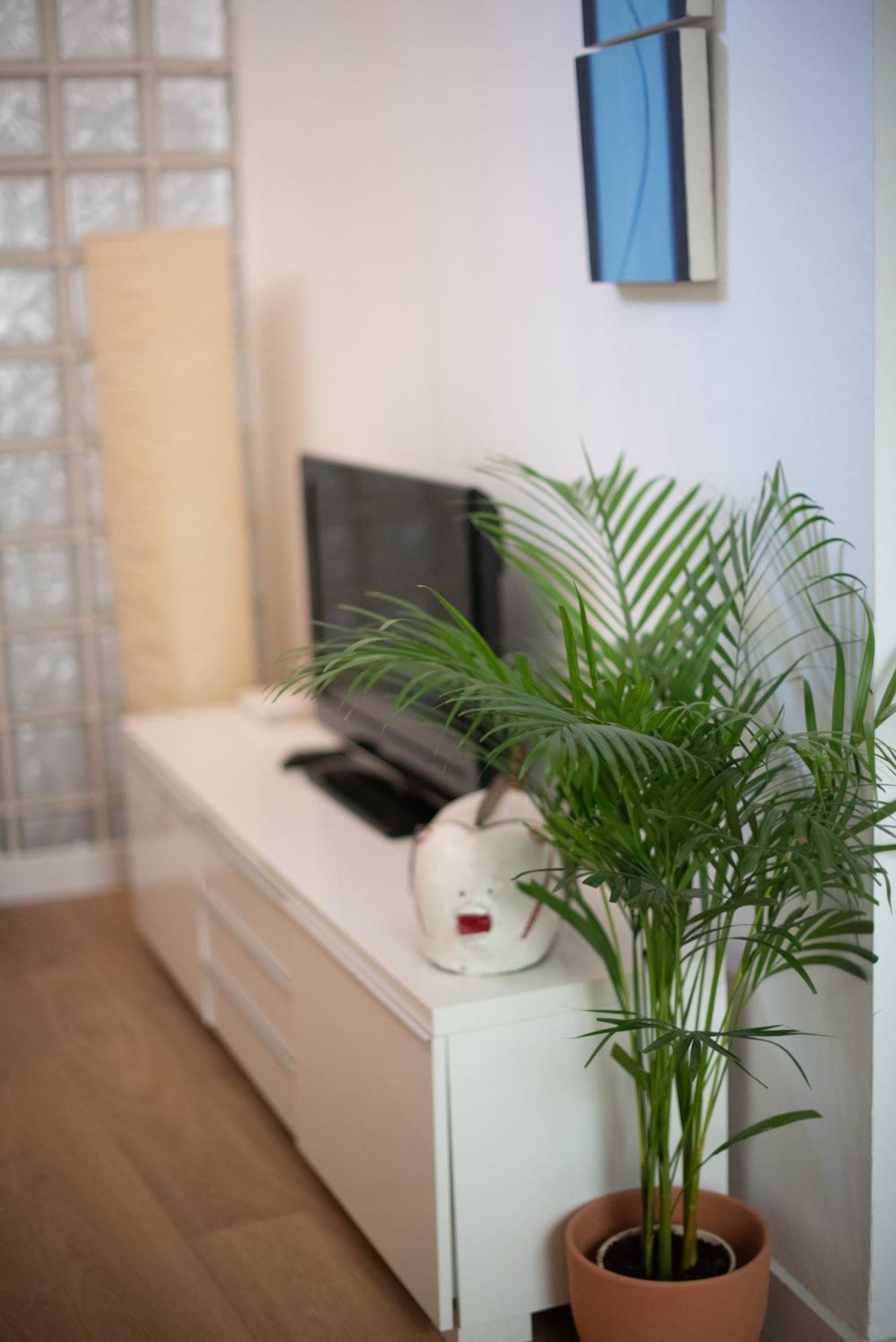 Cozy & Quiet In The Center Appartement Málaga