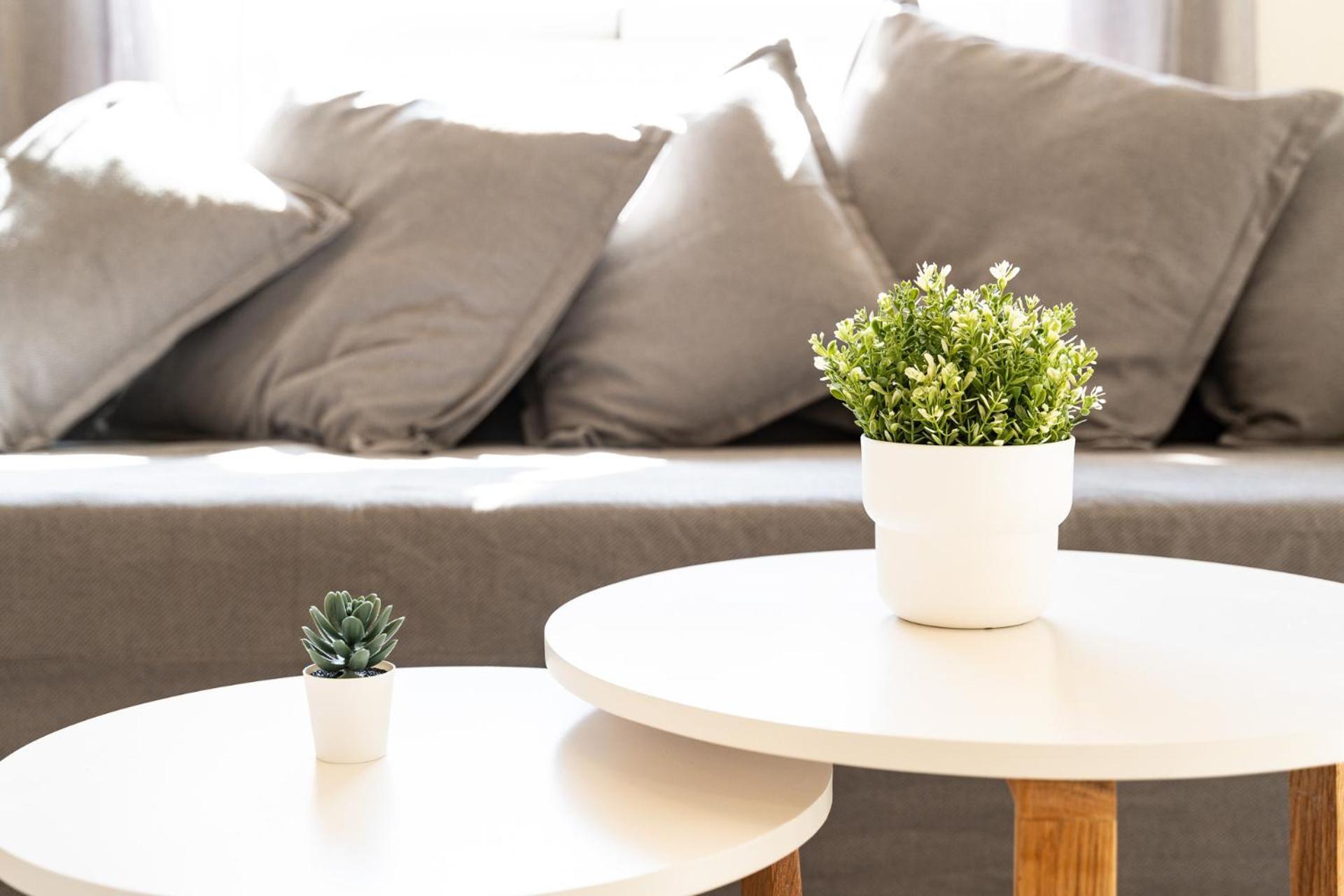 Trinidad By Carohomes Apartment Malaga