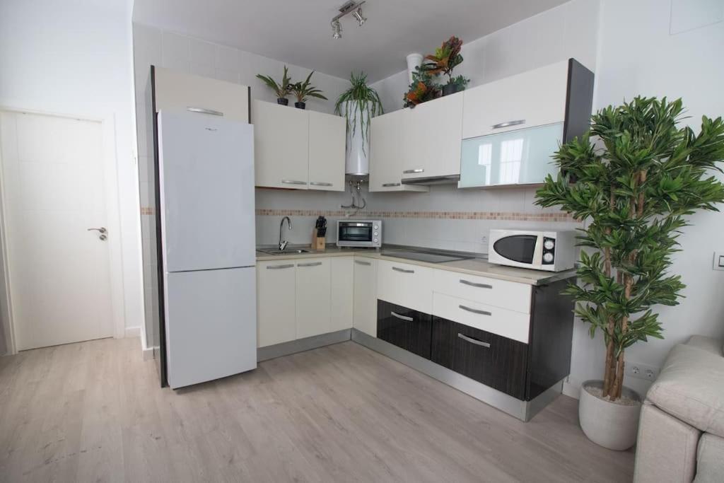 Trinidad Aparment Apartment Malaga