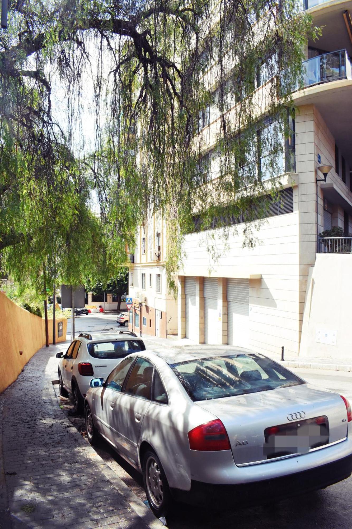 Apartment Malagueta's Cozy With Parking And Swimming Pool