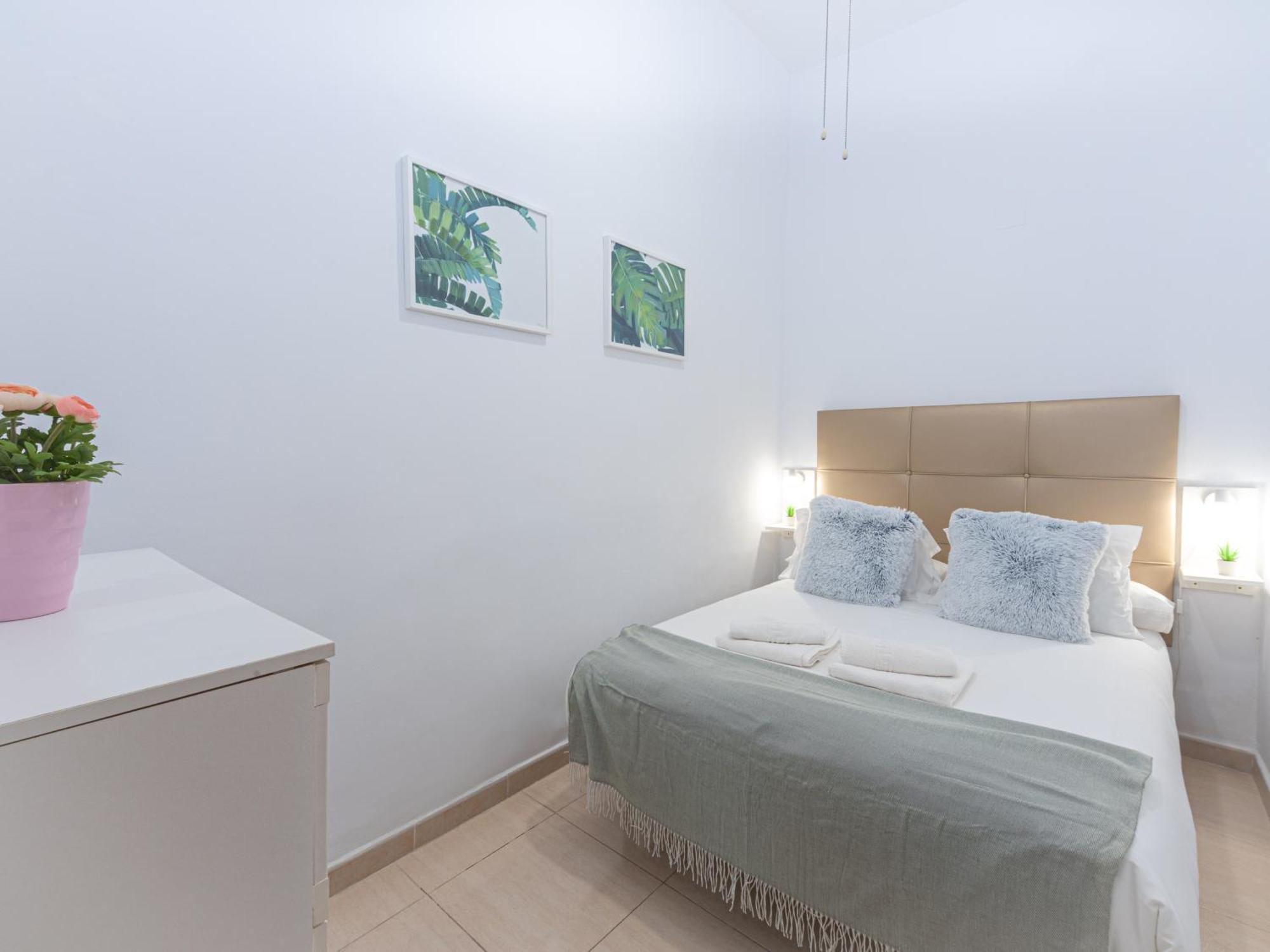 Livemalaga Gomez Pallete Malaga