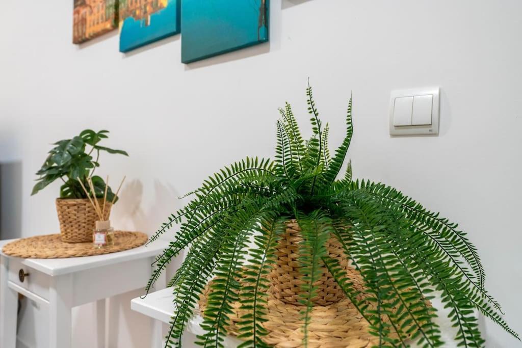 Apartment Chic In Heart Of Town