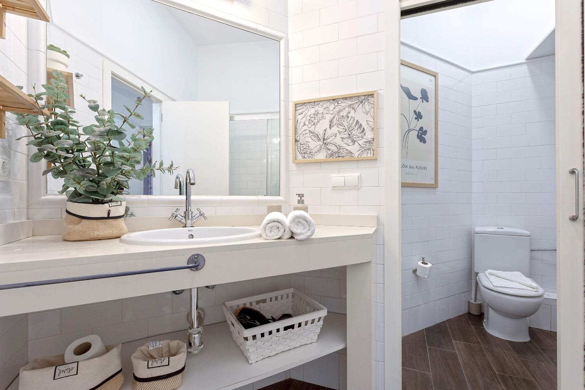 Apartment Genteel Larios Malaga