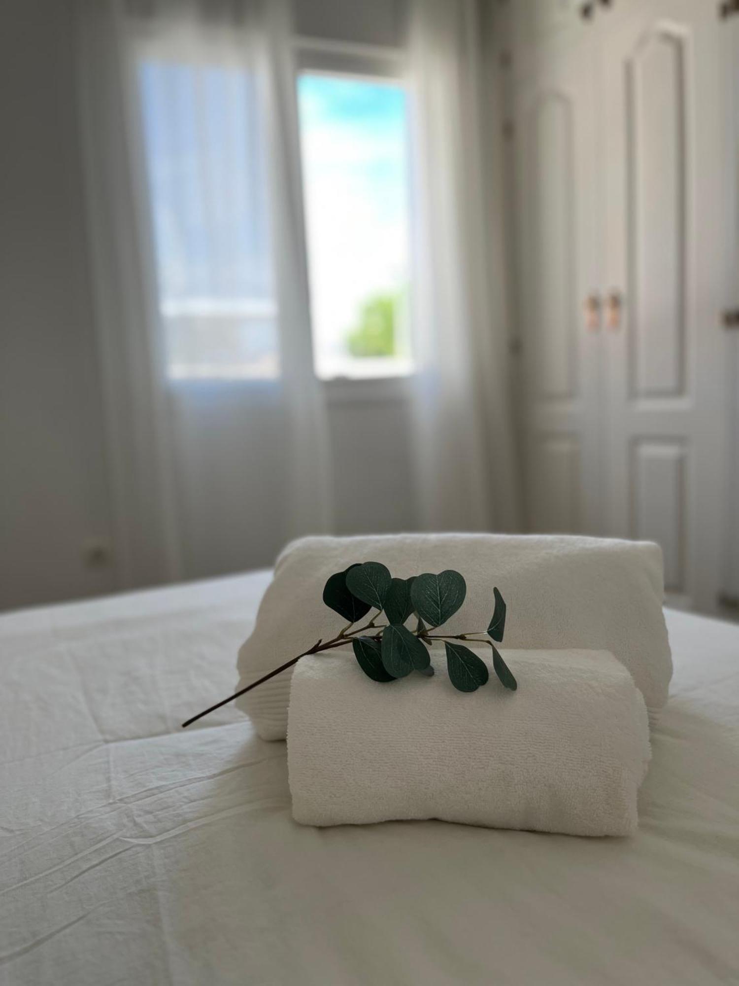 Prime Location - Stylish With Free Wifi, Free Parking, Steps From The Historic Center Apartment Malaga